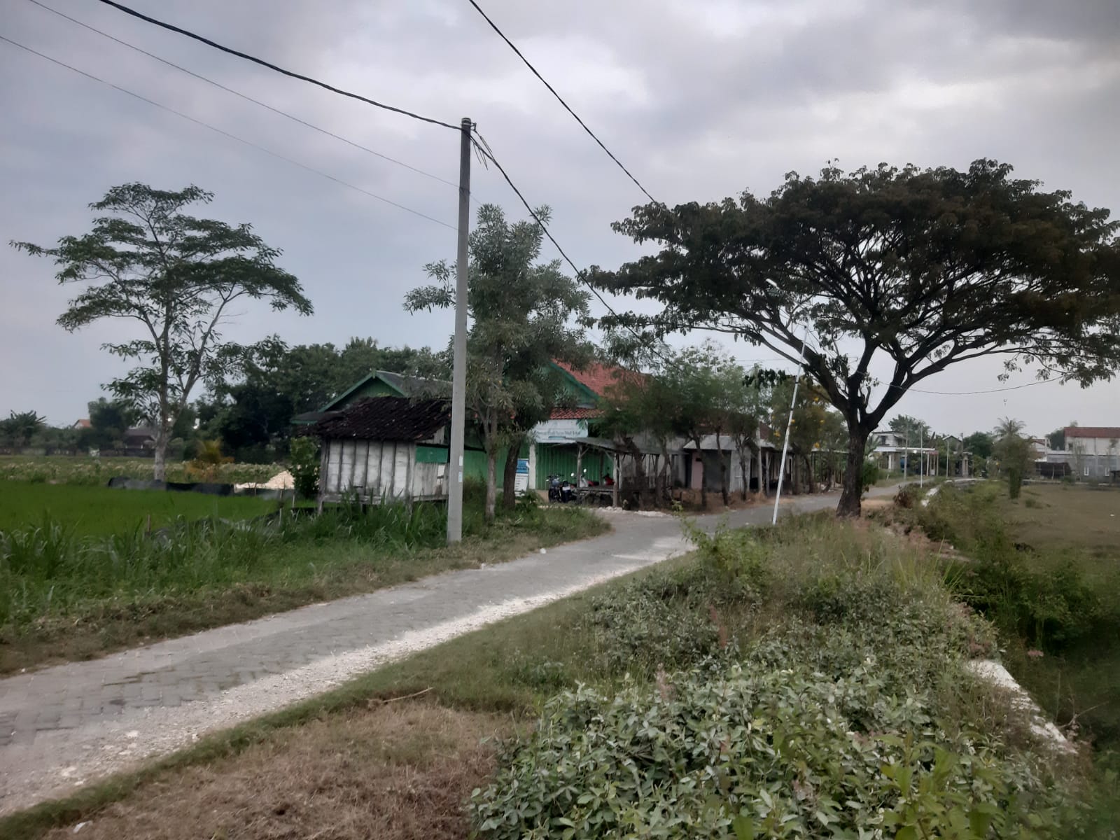 Foto Lokasi 1